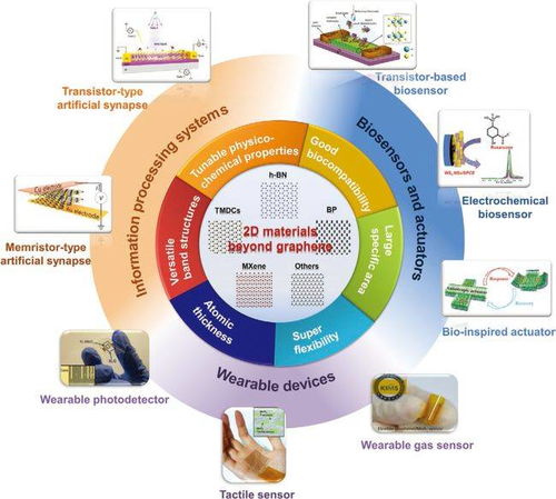 清華大學劉鍇 白凈衛(wèi)afm綜述 面向生物電子學的非石墨烯二維材料 從基礎性質到器件應用