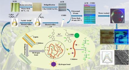 我校生物質基功能復合材料創新團隊取得系列新成果