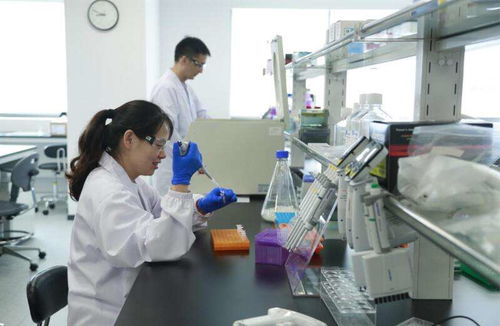 來凱醫藥沖刺港股ipo 全球生物制藥賽道成色幾何