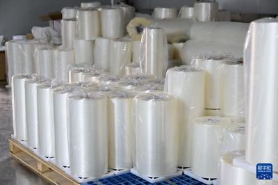 中國(guó)經(jīng)濟(jì)樣本觀察&middot;縣域樣本篇丨界首:最懂得"垃圾是放錯(cuò)地方資源"的小城